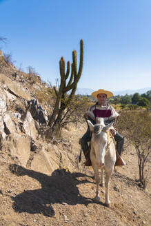 Huaso in traditional clothing riding horse by cactus on hill, Colina, Chacabuco Province, Santiago Metropolitan Region, Chile, South America - RHPLF25724