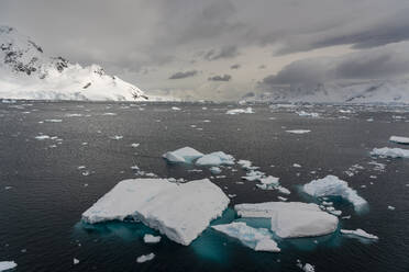 Ice drifting in Paradise Bay, Antarctica, Polar Regions - RHPLF25746