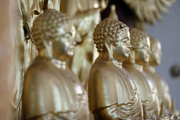 Long Duc Buddhist temple, Golden Buddha statues on altar, Tan Chau, Vietnam, Indochina, Southeast Asia, Asia - RHPLF25773