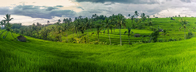 View of Sidemen Rice Terrace, Sidemen, Kabupaten Karangasem, Bali, Indonesia, South East Asia, Asia - RHPLF25798