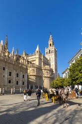 Seville Cathedral Exterior, UNESCO World Heritage Site, Seville, Andalusia, Spain, Europe - RHPLF25804