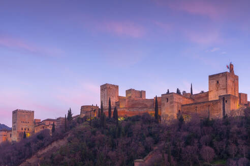 The Alhambra, UNESCO World Heritage Site, Granada, Andalusia, Spain, Europe - RHPLF25816