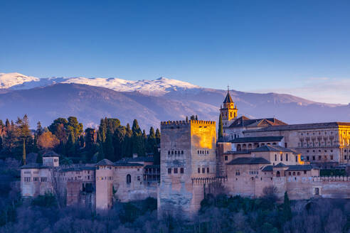 The Alhambra, UNESCO World Heritage Site, Granada, Andalusia, Spain, Europe - RHPLF25826