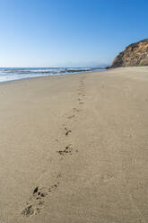 Footprints in sand at Quirilluca beach, Puchuncavi, Valparaiso Province, Valparaiso Region, Chile, South America - RHPLF25858