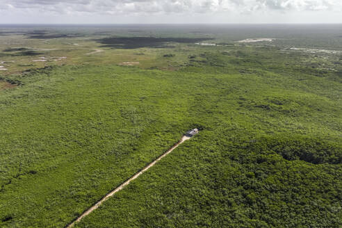 Aerial view of Rio Lagartos natural park, Yucatan, Mexico. - AAEF18295