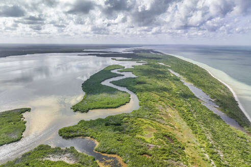 Aerial view of Punta Escolleras coastline, Rio Lagartos natural park, Yucatan, Mexico. - AAEF18303