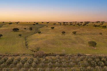 Aerial view of Albernoa countryside at sunset, Beja, Portugal. - AAEF18324