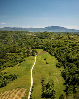 Aerial view of a road leading to Ucka mountain in the background, Central Istria in Croatia. - AAEF18363