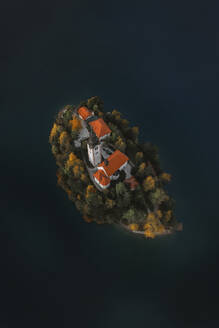 Aerial View of Church of the Assumption at Lake Bled at sunrise, Slovenia. - AAEF18416