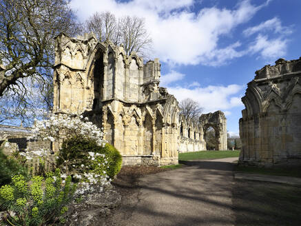 Ruins of St. Marys Abbey in Museum Gardens, York, Yorkshire, England, Unted Kingdom, Europe - RHPLF26047