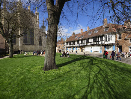 College Green and St. Williams College in Spring in York, Yorkshire, England, Unted Kingdom, Europe - RHPLF26048