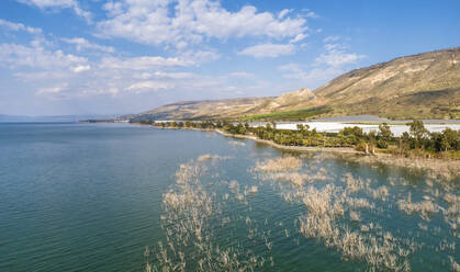 Aerial view of Jordan river coastline, Sea of Galilee, Israel. - AAEF18550