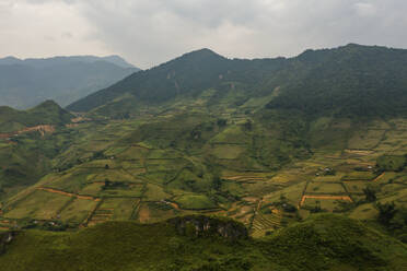 Aerial view of agricultural field among the mountains, Cao Pha, Vietnam. - AAEF18558