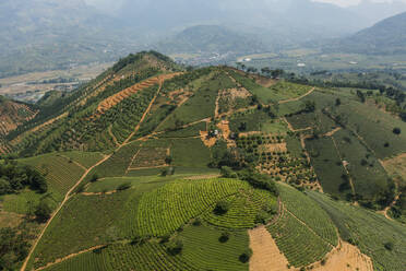 Aerial view of a hilly landscape with agricultural field in countryside, Van Chan, Vietnam. - AAEF18587