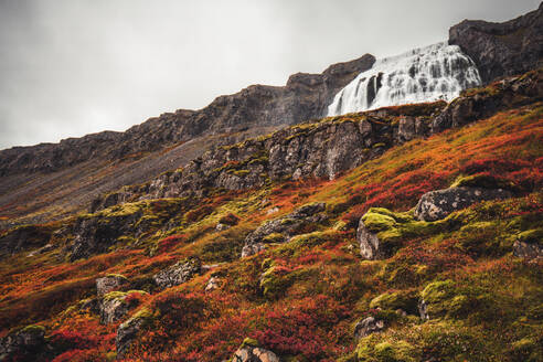 Aerial view of a beautiful waterfall in highlands region of Iceland. - AAEF18600