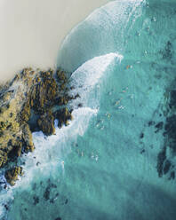 Aerial view of people with a surfboard along the coastline in Byron Bay, New South Wales, Australia. - AAEF18647