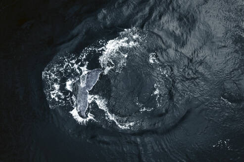 Aerial view of humpback whale tail above water surface near Baja California Sur, Mexico. - AAEF18669