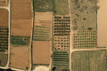 Aerial view of agricultural fields, Anna, Valencia, Spain. - AAEF18797