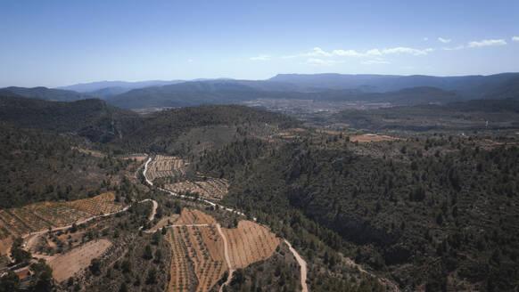 Panoramic Aerial view of a peaceful agricultural field in the middle of green mountain hills with a clear blue sky, Calles, Valencia, Spain. - AAEF18830