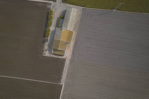 Aerial view of a farmhouse surrounded by agricultural fields, Alboraia, Valencia, Spain. - AAEF18834