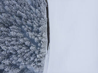 Aerial view of snowy forest in Bavaria, Germany. - AAEF18944