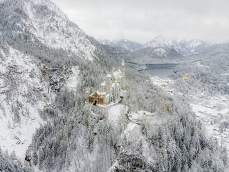 Aerial view of castle Neuschwanstein in wintertime with snow, Fussen, southwest Bavaria, Germany. - AAEF18948