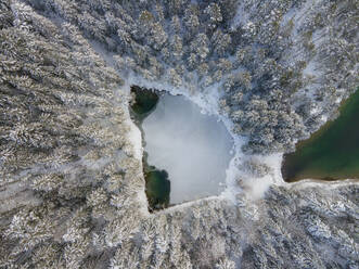 Aerial view of small lake near lake Eibsee in Bavaria, Germany. - AAEF18952