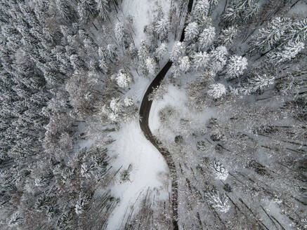 Aerial view of a road crossing the forest with pine trees in winter with snow, Bavaria, Germany. - AAEF18956