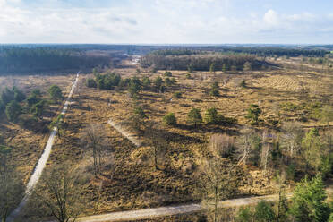 Aerial view of open area with trees and walking paths in forestry Hardenberg, Rheeze, Vechtdal, Overijssel, Netherlands. - AAEF19221