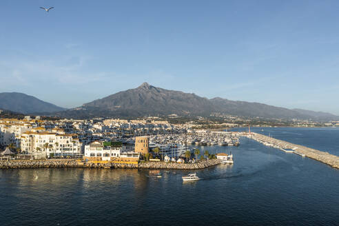 Aerial view of Puerto Banus, a small city harbour with boats and yacht moored, Marbella, Andalusia, Spain. - AAEF19248