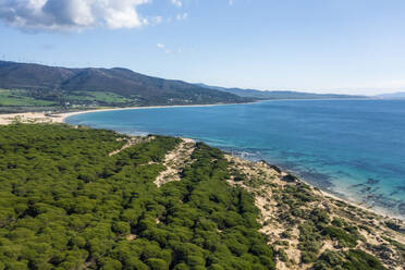 Aerial view of Playa Valdevaqueros, a small beach along the Mediterranean Sea coastline, Tarifa, Cadiz, Spain. - AAEF19255