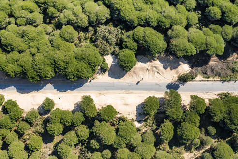 Aerial view of a road crossing a bushland near Playa Valdevaqueros, a small beach along the Mediterranean Sea coastline, Tarifa, Cadiz, Spain. - AAEF19256