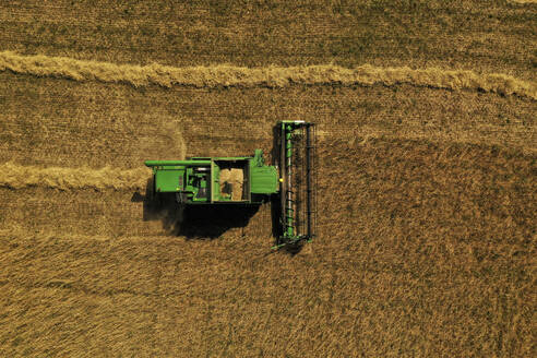 Aerial view of harvester and tractor during cereal harvest in Brandenburg, Germany. - AAEF19258