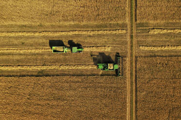 Aerial view of harvester and tractor during cereal harvest in Brandenburg, Germany. - AAEF19260
