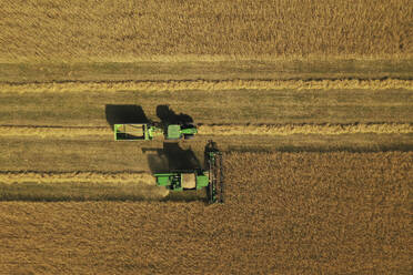 Aerial view of harvester and tractor during cereal harvest in Brandenburg, Germany. - AAEF19261