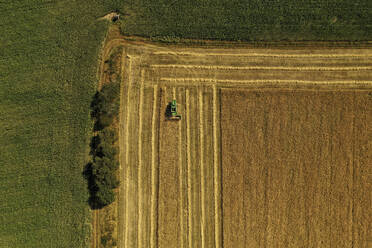 Aerial view of harvester and tractor during cereal harvest in Brandenburg, Germany. - AAEF19262