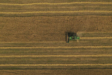 Aerial view of harvester and tractor during cereal harvest in Brandenburg, Germany. - AAEF19264