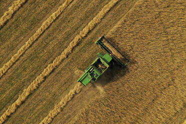 Aerial view of harvester and tractor during cereal harvest in Brandenburg, Germany. - AAEF19265