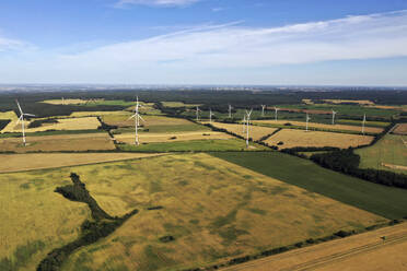 Aerial view of harvester and tractor during cereal harvest in Brandenburg, Germany. - AAEF19284