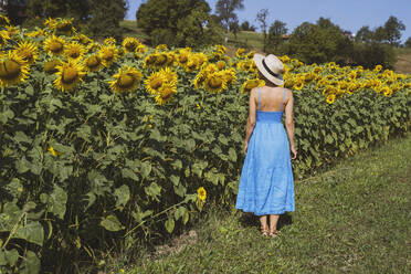 Frau steht in der Nähe von Sonnenblumen im Feld an einem sonnigen Tag - NDEF00671