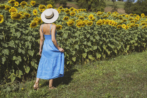 Frau mit Hut betrachtet Sonnenblumen auf einem Feld - NDEF00672