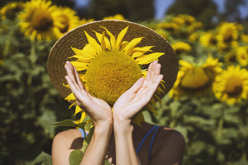 Verspielte Frau, die ihr Gesicht mit einer Sonnenblume bedeckt - NDEF00676
