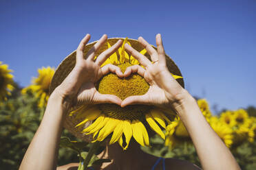 Frau macht Herzform mit Sonnenblume bedeckt Gesicht im Feld - NDEF00677