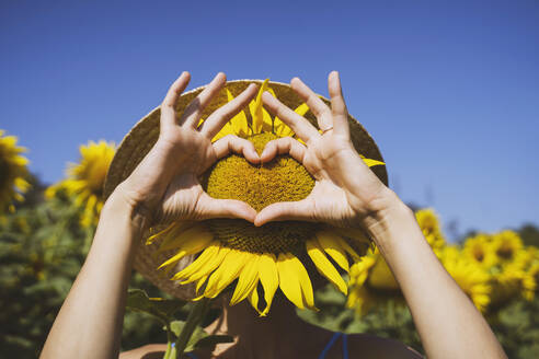 Frau macht Herzform mit Sonnenblume bedeckt Gesicht im Feld - NDEF00677