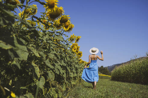 Frau verbringt ihre Freizeit in einem Sonnenblumenfeld an einem sonnigen Tag - NDEF00680