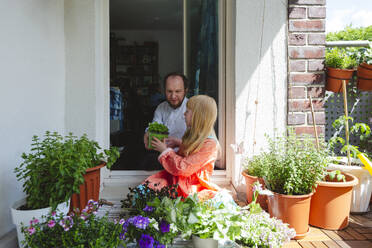 Daughter giving potted plant to father in balcony - IHF01384