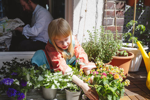 Tochter arrangiert Topfpflanzen auf dem Balkon - IHF01385