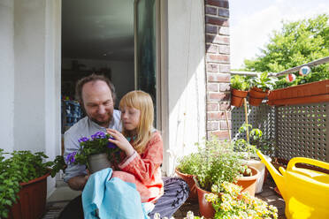 Tochter sitzt auf dem Schoß des Vaters mit Topfpflanze auf dem Balkon - IHF01388