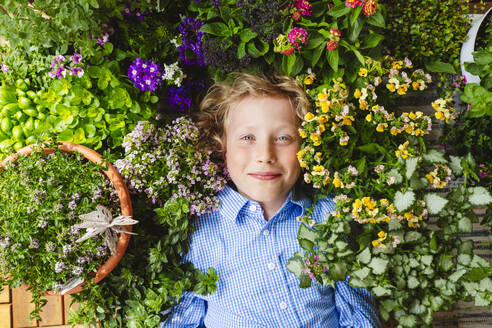 Smiling boy lying down amidst colorful plants - IHF01393