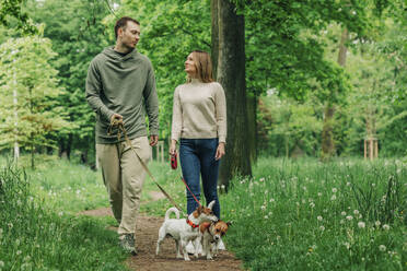 Smiling woman and man walking with Jack Russell Terrier dogs in park - VSNF00943